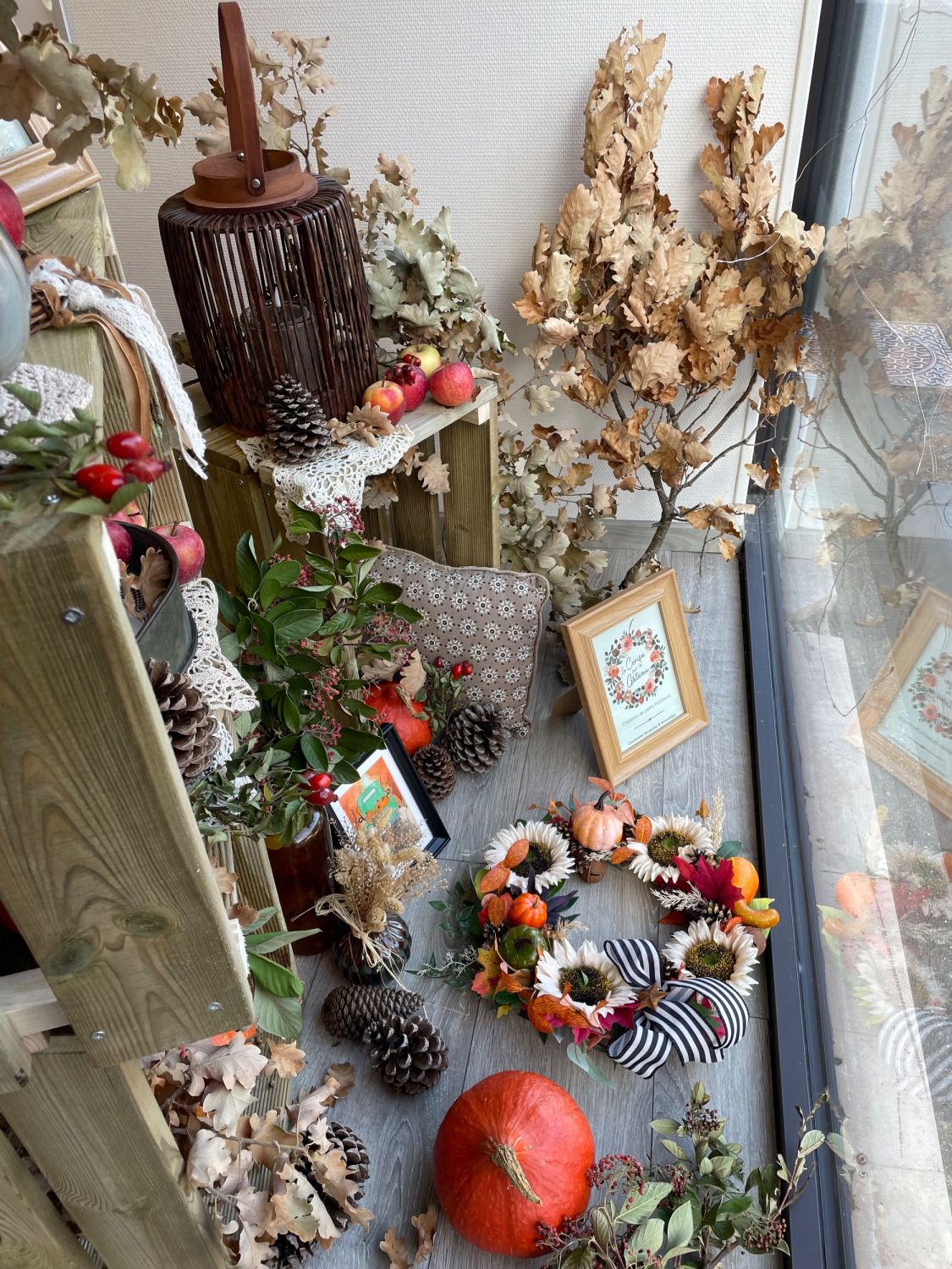 Image de Retour sur ma vitrine d'automne