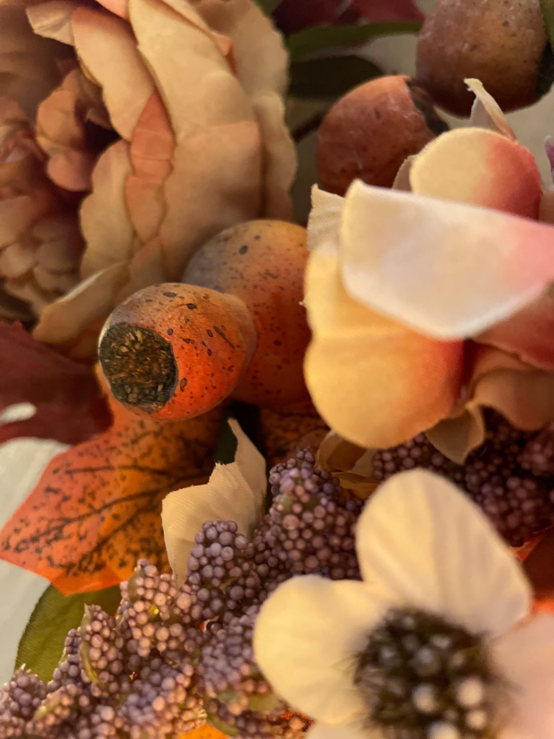Image de Promotions d'Automne