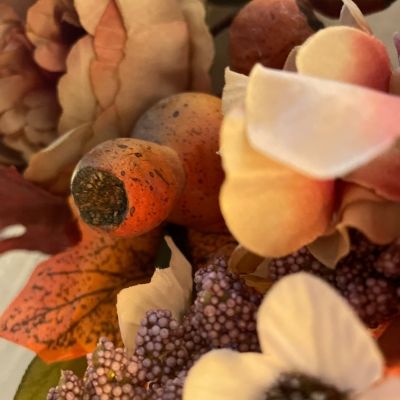 Image de Promotions d'Automne