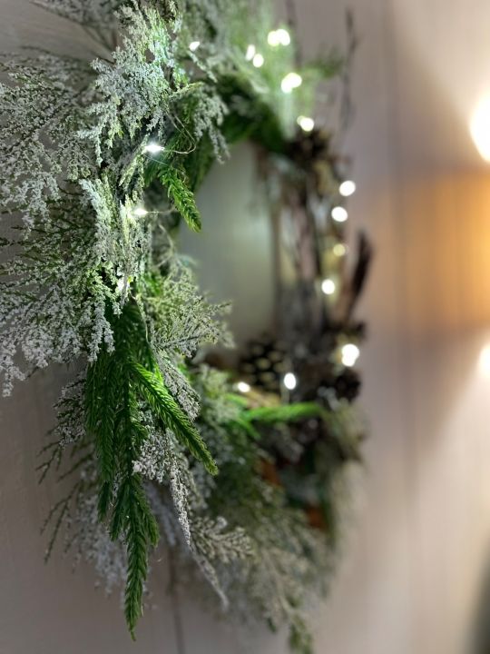 Winter's Nest Image de Winter's Nest