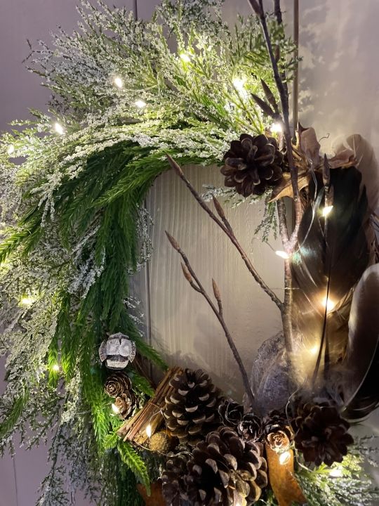 Winter's Nest Image de Winter's Nest