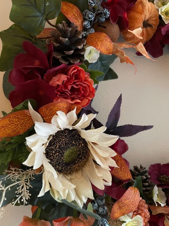 Image de Velours d'automne