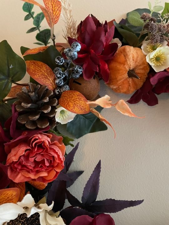 Image de Velours d'automne