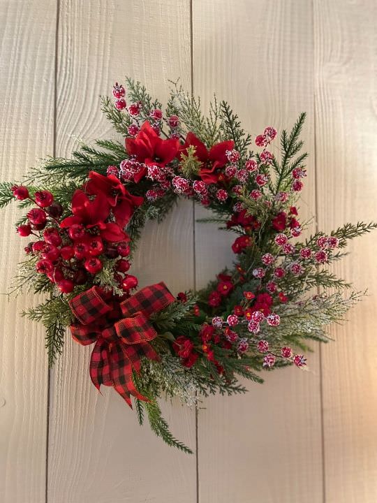 Givre Image de Givre