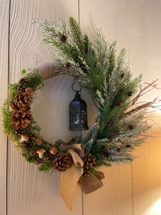 Image de Sous-bois lumineux